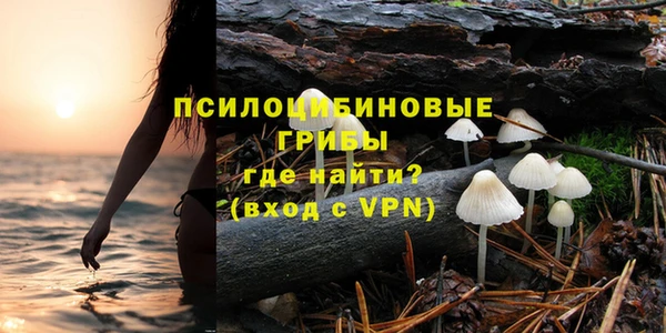 ГАЛЛЮЦИНОГЕННЫЕ ГРИБЫ Белокуриха