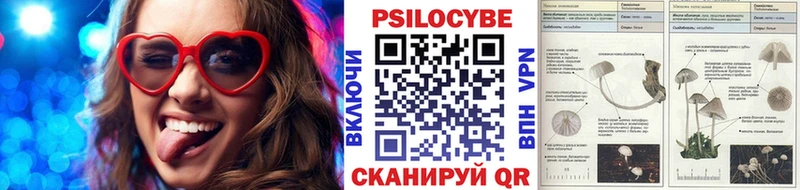 blacksprut сайт  где купить наркоту  Козельск  Псилоцибиновые грибы мицелий 